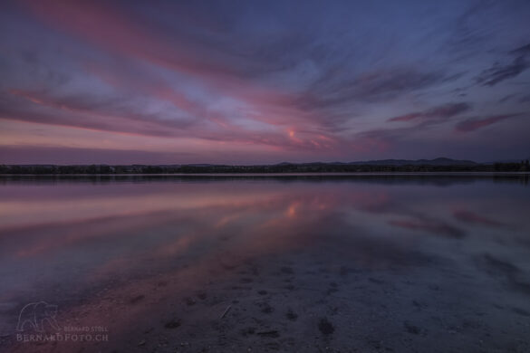 Der Greifensee in eine farbige Abendstimmung.