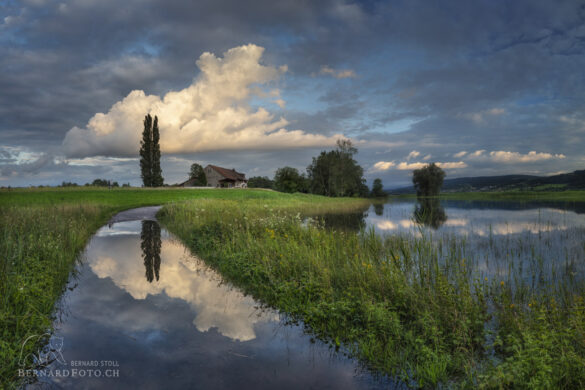 Freistehende Haus spiegelt sich im überschwemmter Wanderweg.