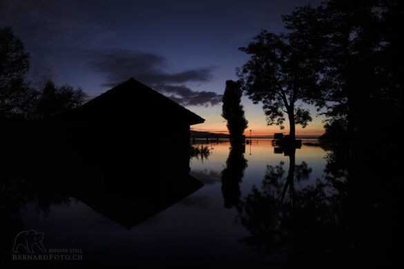 Das Fischerhaus und die Bäumen spiegeln sich im Wasser im letztem Tageslich.t