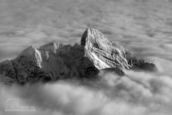 Altmann Berg, Alpstein, bernardfoto