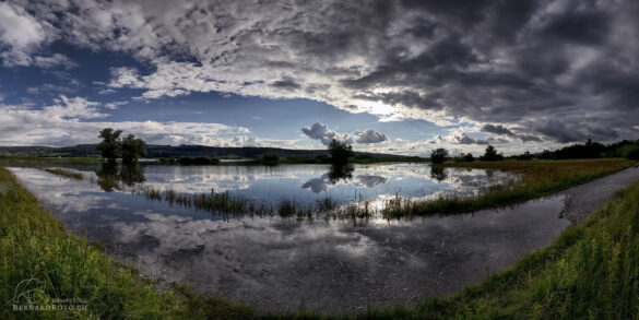 Der Wanderweg und das Schilffeld sind unter Wasser. Ergibt ein perfektes Spiegelbild.