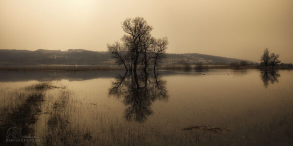 Der überschwemmter See mit Saharastaube in der Luft verleiht eine surreale Atmosphere.