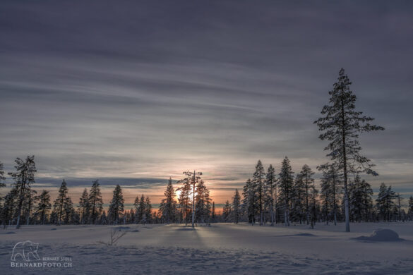 Sonnen Untergang in Lappland im Winter