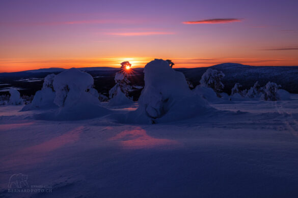 Sonnenuntergang, verschneites Lappland