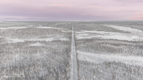 Verschneite Wälder in Lappland