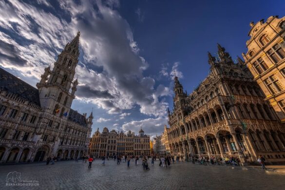 Bruxelle_24