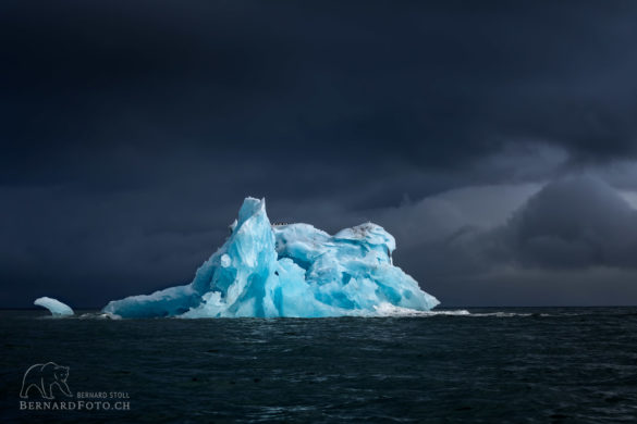 Eisberg im Arktischer Ozean, Spitzbergen