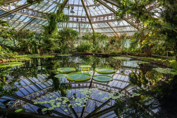 Meis_Botanisch_12