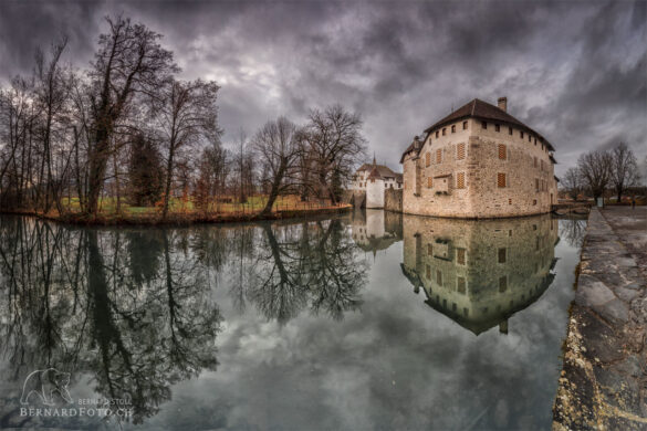 Schloss Hallwyl am Hallwilersee