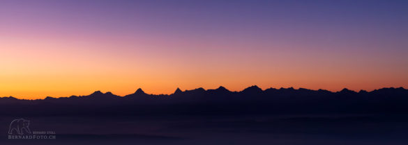 Morgenstimmung über die Berner Alpen